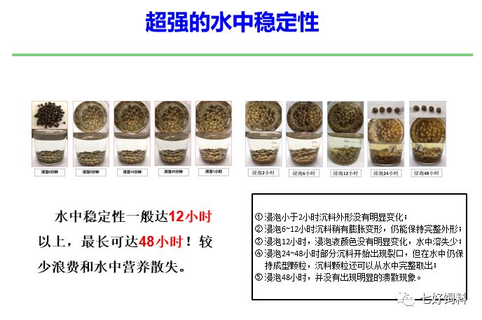 魚(yú)臺縣 (6).jpg