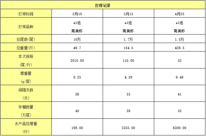 美女養蝦 (1).png