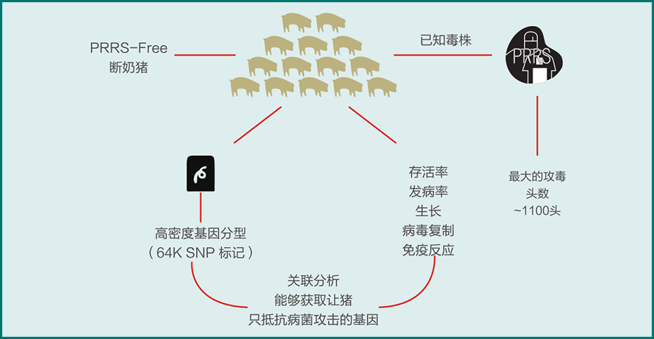 對話(huà)傅衍 (10).png